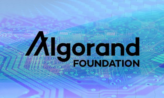 Algorand Foundation, Matthew Keller as Director of Impact and Inclusion