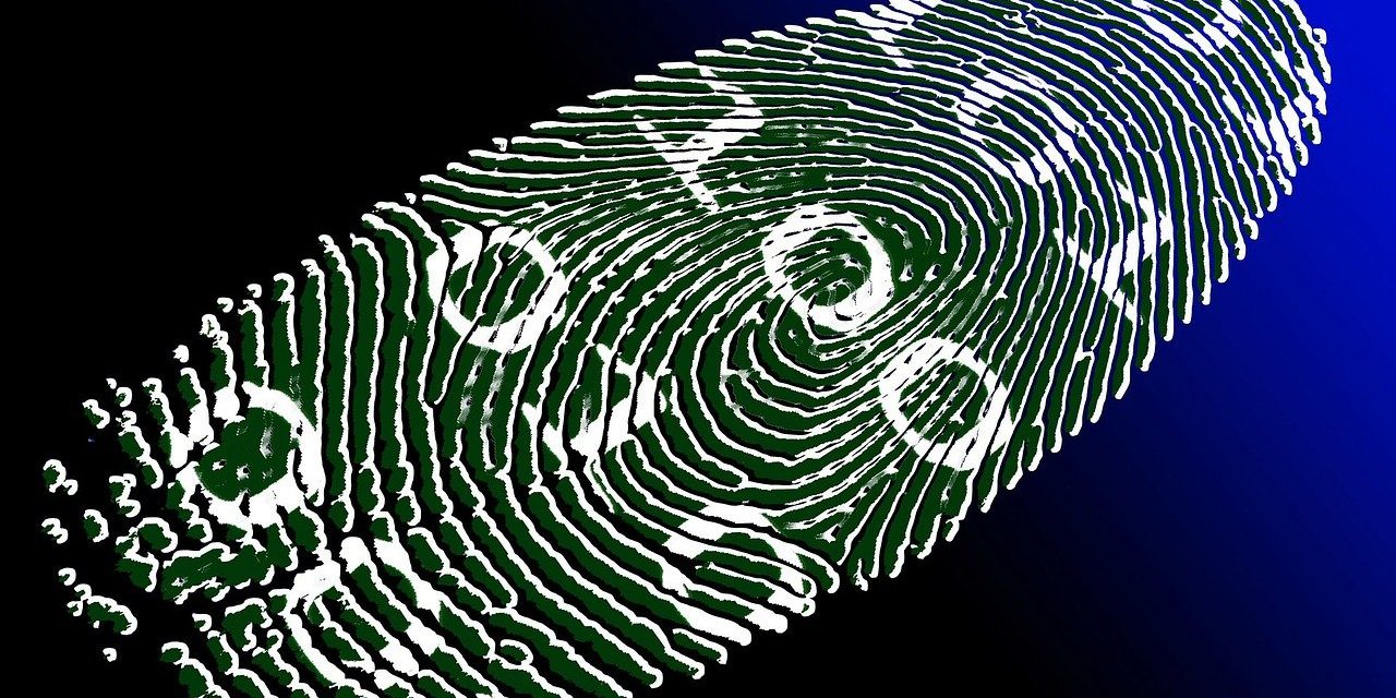 Personal ID Selling for as Little as $17 on Dark Web, Privacy Affairs Study Reveals