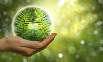 Green Technology and Sustainability Market is expected to display a steady growth by 2027