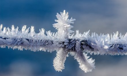 How Industry Can Prevent the Crypto Winter From Becoming an Ice Age