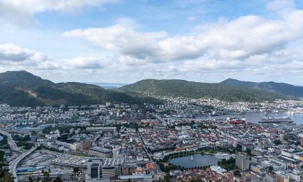 Norway’s Fund Profits $143B on AI Tech Surge