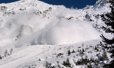 Avalanche Recovers from 4-Hour Block Production Halt