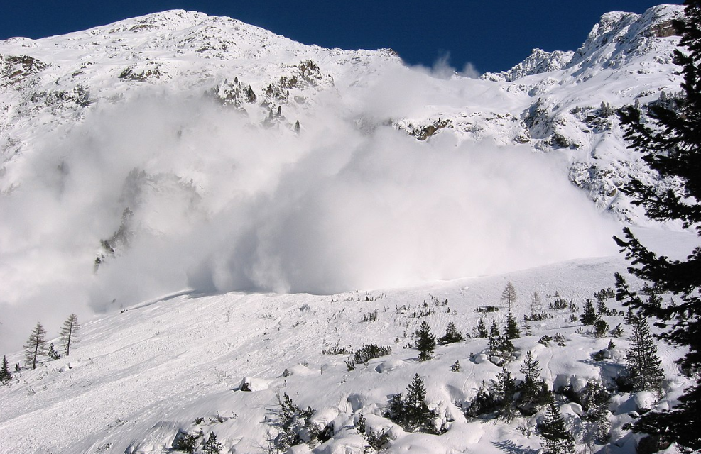 Avalanche Recovers from 4-Hour Block Production Halt